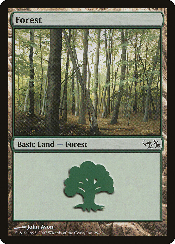 Forest