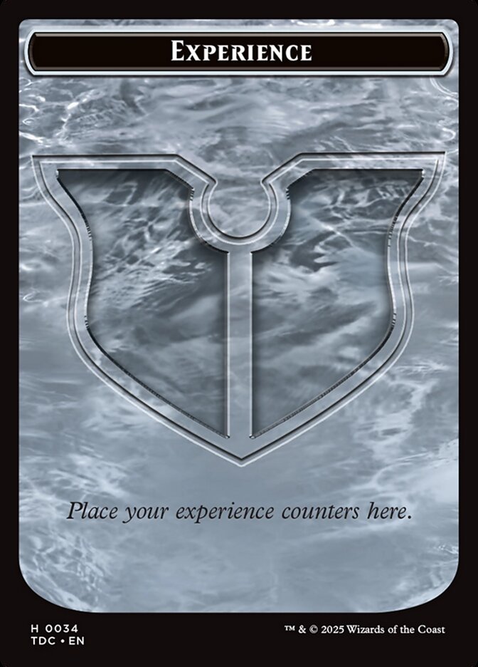 Experience